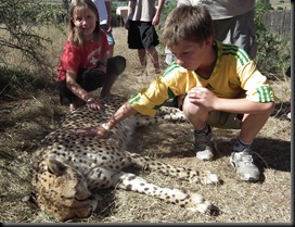 Daniell Cheetah Farm 020