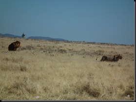 Etosha Halali 035